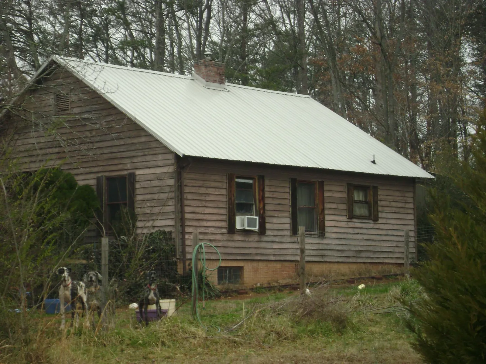 White metal roof on an old wood sided farmhouse, from a Asphalt Shingle Roof Repair job in White Lake
